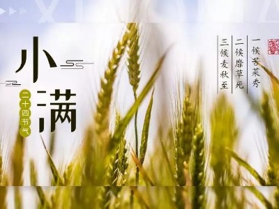 520，給您“滿”心誠意